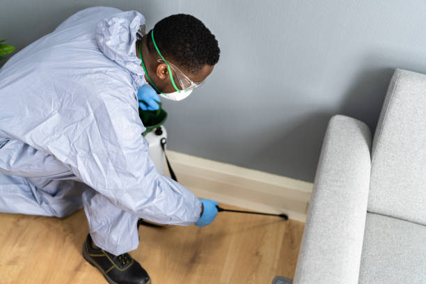 Best Fumigation Services  in Lake Shore, MD